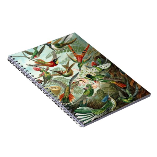 Carnet des colibris (Côté Droit)