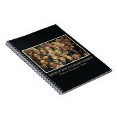 Carnet des expressions de Daumier (Côté Droit)