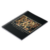 Carnet des expressions de Daumier (Côté gauche)