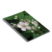Carnet des Fleurs de Blackberry (Côté Droit)