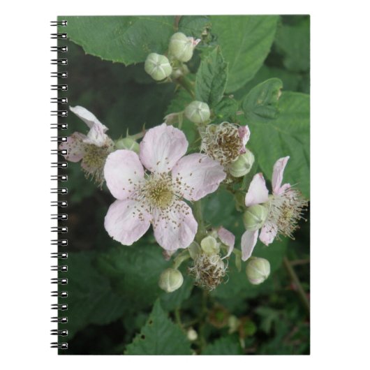 Carnet des Fleurs de Blackberry (Devant)
