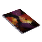 Carnet des fleurs de gloire du matin (Côté Droit)