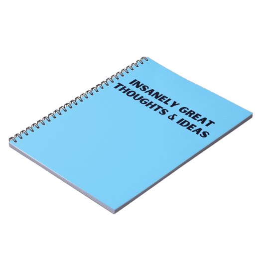 Carnet Des Idées Et Des Pensées Insensées (Côté gauche)