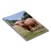 Carnet des montagnes de vache (Côté Droit)
