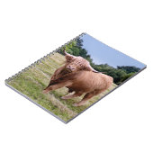 Carnet des montagnes de vache (Côté gauche)