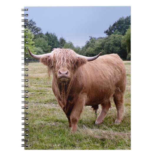 Carnet des montagnes de vache (Devant)