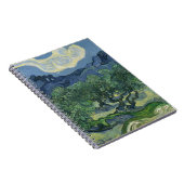 Carnet des oliviers (Côté Droit)