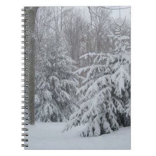 Carnet des pins d'hiver