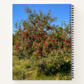Carnet des pommes de point (Dos)