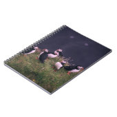 Carnet des Puffins de l'Atlantique (Côté gauche)