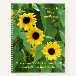 Carnet des tournesols et des devis (2 devis)