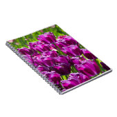 Carnet Des tulipes lilas lumineuses par jour ensoleillé (Côté Droit)