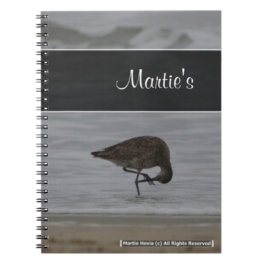 Carnet des vaches Sandpiper (Devant)