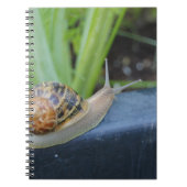 carnet d'escargot (Devant)