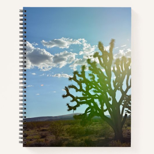 Carnet Desert beauty (Devant)