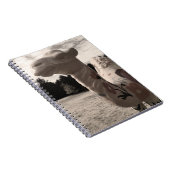 Carnet désert de maine (Côté Droit)