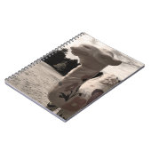 Carnet désert de maine (Côté gauche)