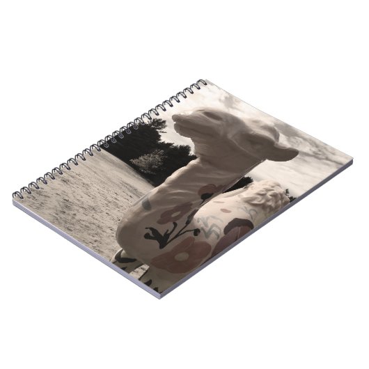 Carnet désert de maine (Côté gauche)