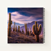 Carnet Deserts | Cactus Landscape Argentina (Dos)