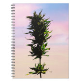 Carnet design cannabis (Devant)