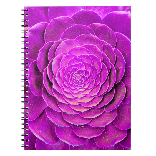 Carnet Design de fleur de cactus (Devant)