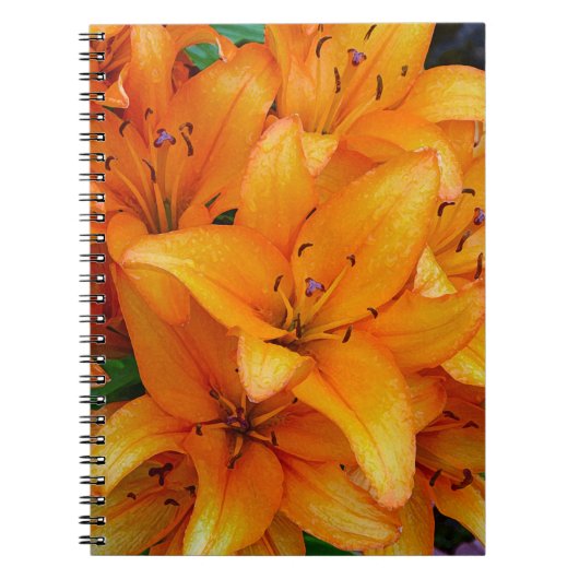 Carnet design de fleurs de lys orange (Devant)