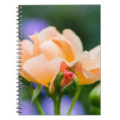 Carnet désir (Devant)