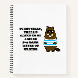 Carnet Désolé Sally, 6 autres #*@%ing semaines d'hiver