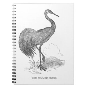 Carnet Dessin à la plume et à l'encre d'un oiseau grue vi