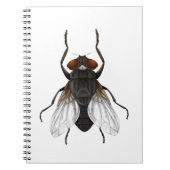 Carnet dessin animé (Devant)