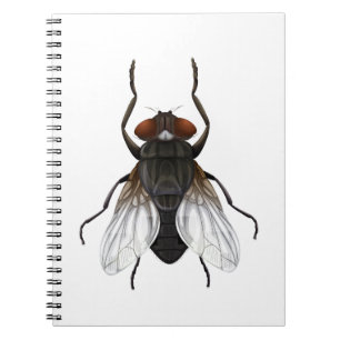 Carnet dessin animé