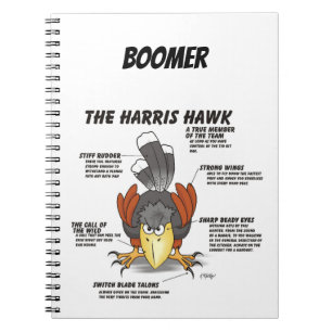Carnet Dessin animé de Buse de Harris
