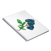 Carnet dessin de bleuet (Côté Droit)