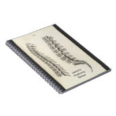 Carnet Dessin de vertèbres (Côté Droit)