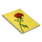 Carnet Dessin d'encre de Fleur Marigold (Côté Droit)