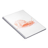 Carnet Dessin d'escargot orange (Côté Droit)