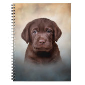 Carnet Dessin du chiot Labrador (Devant)