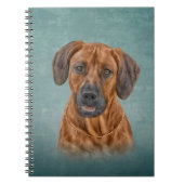 Carnet Dessin Rhodesian Ridgeback (Devant)