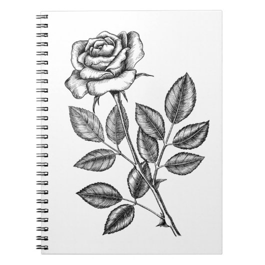 Carnet dessin rose 2 (Devant)