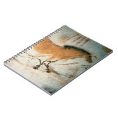 Carnet Dessins de grotte Lascaux (Côté gauche)