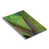 Carnet Détail de la plante d'Agave (Côté Droit)