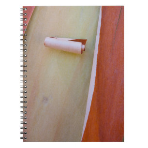 Carnet Détail de l'écorce de l'arbre Madrone