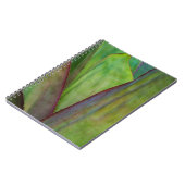 Carnet Détail du Plante Agave (Côté gauche)