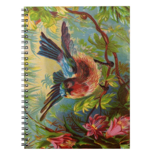 Carnet d'été Bluebird (Devant)