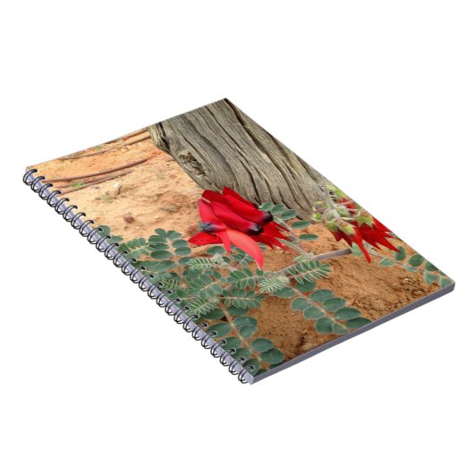 Carnet Détroit d'Australie (Côté Droit)