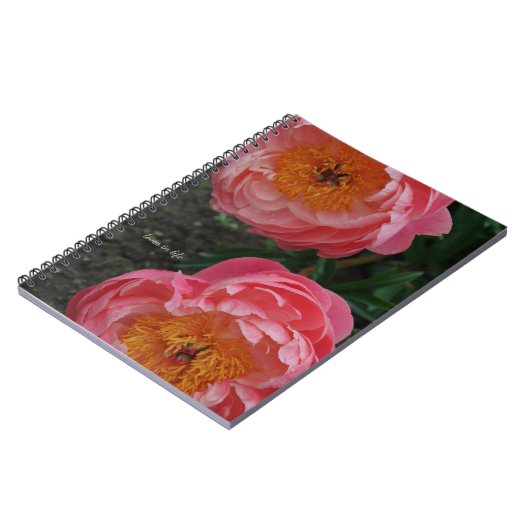 Carnet Deux Belles Peonies Roses (Côté gauche)