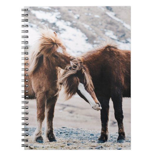 CARNET DEUX CHEVAUX BROWN SUR LE TERRAIN (Devant)