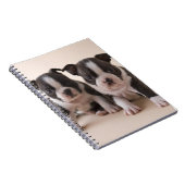 Carnet Deux chiots de Boston Terrier (Côté Droit)