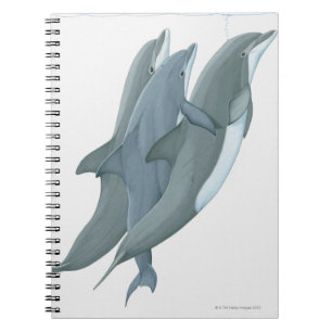 Carnet Deux dauphins en voie de disparition