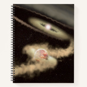 Carnet Deux Exoplanètes Géantes De Gaz Orbitant Une Jeune